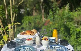 B&B Royal Swans - Adults-Only Boutique Stay In Bruges